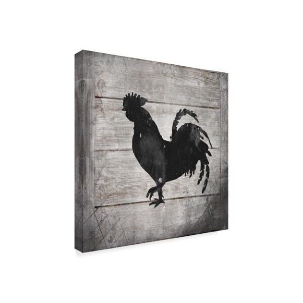 Lightboxjournal 'Black Chicken' Canvas Art,24x24